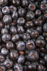 blueberries, also to use as background
