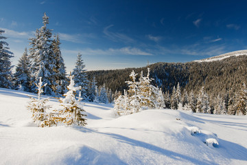 Fototapeta na wymiar winter landscape