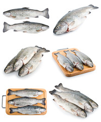 Fresh trout fish set
