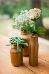 Plants in golden holders