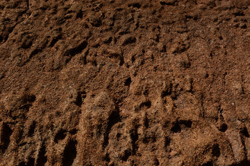 Sandstone on the shore of the Red Sea