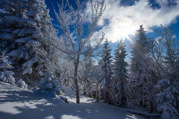Winter snowy country