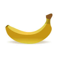 Vector banana. Fresh banana on white background