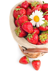 Basket of strawberries on white