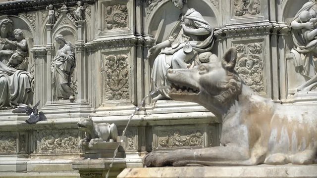 Close up of the wolf in the fountain of Piazza del campo - Siena, Italy
