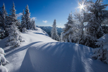 Fototapeta premium Winter snowy country