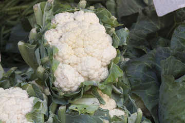 cauliflower for sale at the air open market
