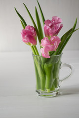 Fresh pink tulip flowers bouquet in a glass jar on white background