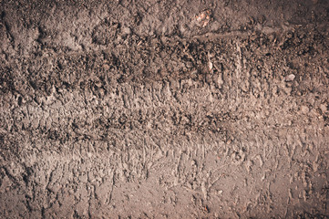 Tire tracks on a muddy road
