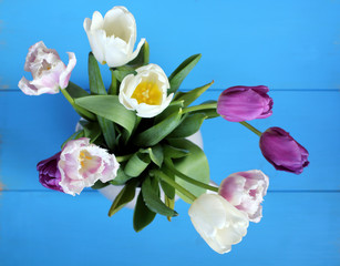 floral background for holiday/ still life of tulips on a blue table top view