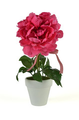 Vibrant lush pink artificial flower in white pot - decoration isolated on white