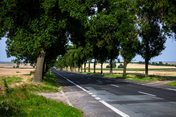 Rural road in the Czech Republic. 