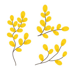 Yellow willow branches. Vector illustration in flat style. Design element