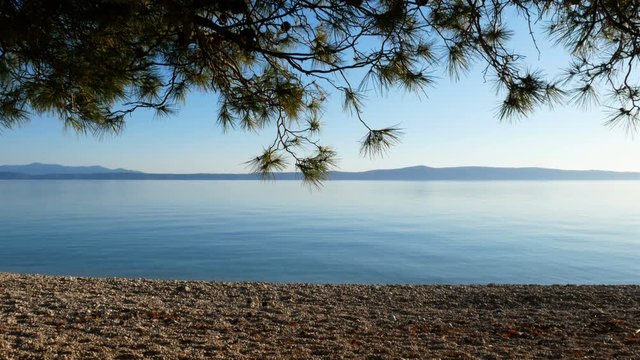 Landscape scene of beach and calm blue sea with pine trees and island in background