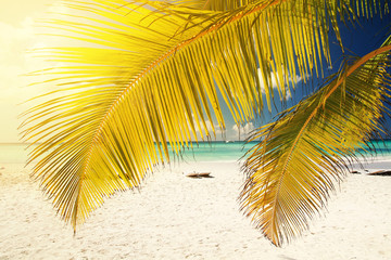 Plakat Caribbean tropic lagoon