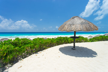 A Cancun Beach in the Caribbean, Mexico