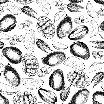 Vector seamless pattern of isolated mango. hand drawn colored exotic fruits. Engraved art.