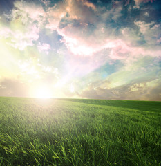 Fototapeta na wymiar Green meadow under blue sky