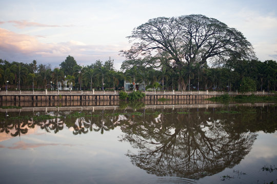 pefect reflect , 