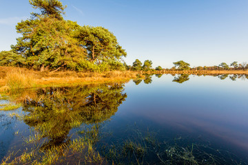 Colorful landscape reflected in the glassy water surface of a small fen