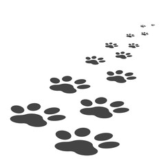 Paw print icon vector illustration isolated on white background. Dog, cat, bear paw symbol flat pictogram.