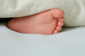 Cute feet of sleeping toddler poking of a white blanket. Space for your text. Child concept.