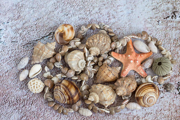 
 Beach vacation. Various sea shells, a necklace of small shells and a starfish on a gray background.