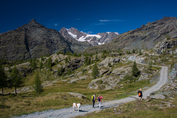 Norditalienische Alpenwanderung