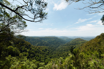 springbrook