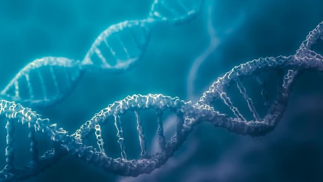 DNA double helix rotating molecules on blue background. 3D rendered animation.