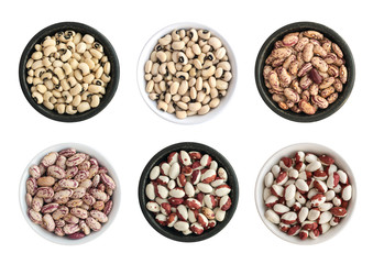 Dry White and Pinto Beans in Round Bowls Isolated