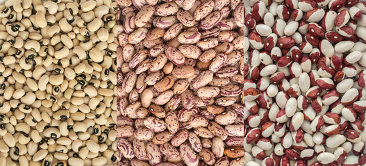 Dry White and Pinto Beans Background