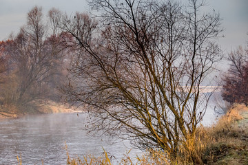 foggy mornings collection © Grzegorz Matoryn