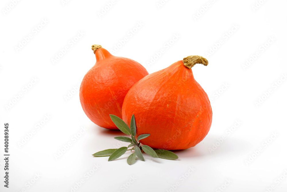 Canvas Prints orange pumpkins and sage