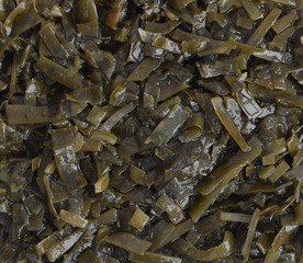 Dark Green Seaweed Salad Top View