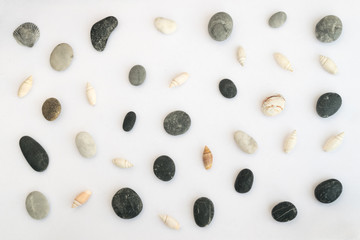 Collection of Seashells and Sea Pebble Stones on White