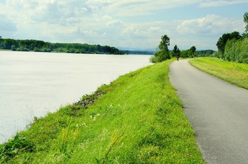 Fototapeta na wymiar Well known Danube cycle trail runs along the Danube river in Austria. Danube cycle trail in the summer.
