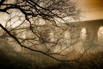 foggy mornings collection © Grzegorz Matoryn