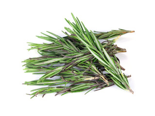 Fototapeta premium rosemary isolated on white background
