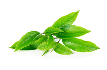 green tea leaf isolated on white background