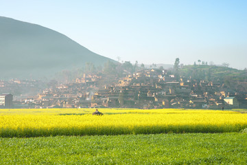 Landscape of yellow flowers and mist coming from the mountains in the evening covering a small village at the background, China.