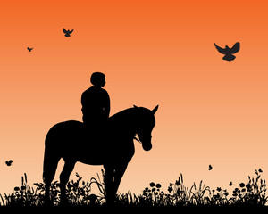 Vector, isolated, silhouette man on a horse in the nature