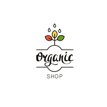 Organic shop logo template. Eco badge with handwritten text and plant in linear style.