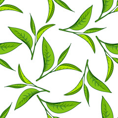 Seamless pattern with green tea leaves
