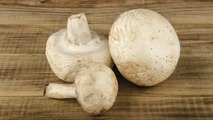 Fresh mushrooms