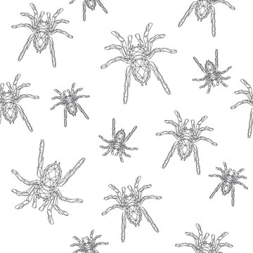 Texture continua di ragni, tarantule isolate sullo sfondo bianco, illustrazione vettoriale