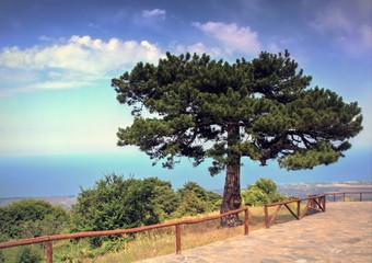 Obraz premium Greek portrait of everyday life in Thessaloniki