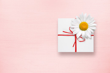 Gift box and chamomile flower on pink background