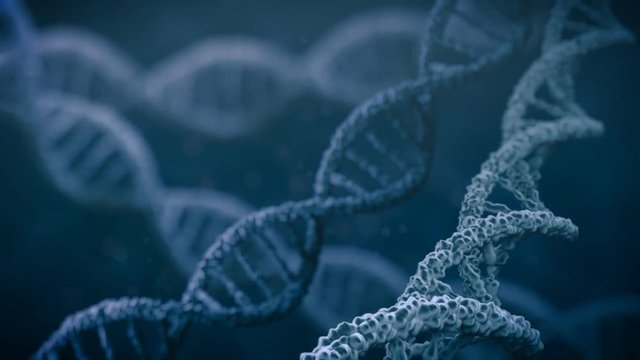 DNA double helix rotating molecules on dark blue background. 3D rendered animation.