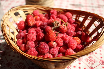 strawberries and raspberries from grandmother's garden